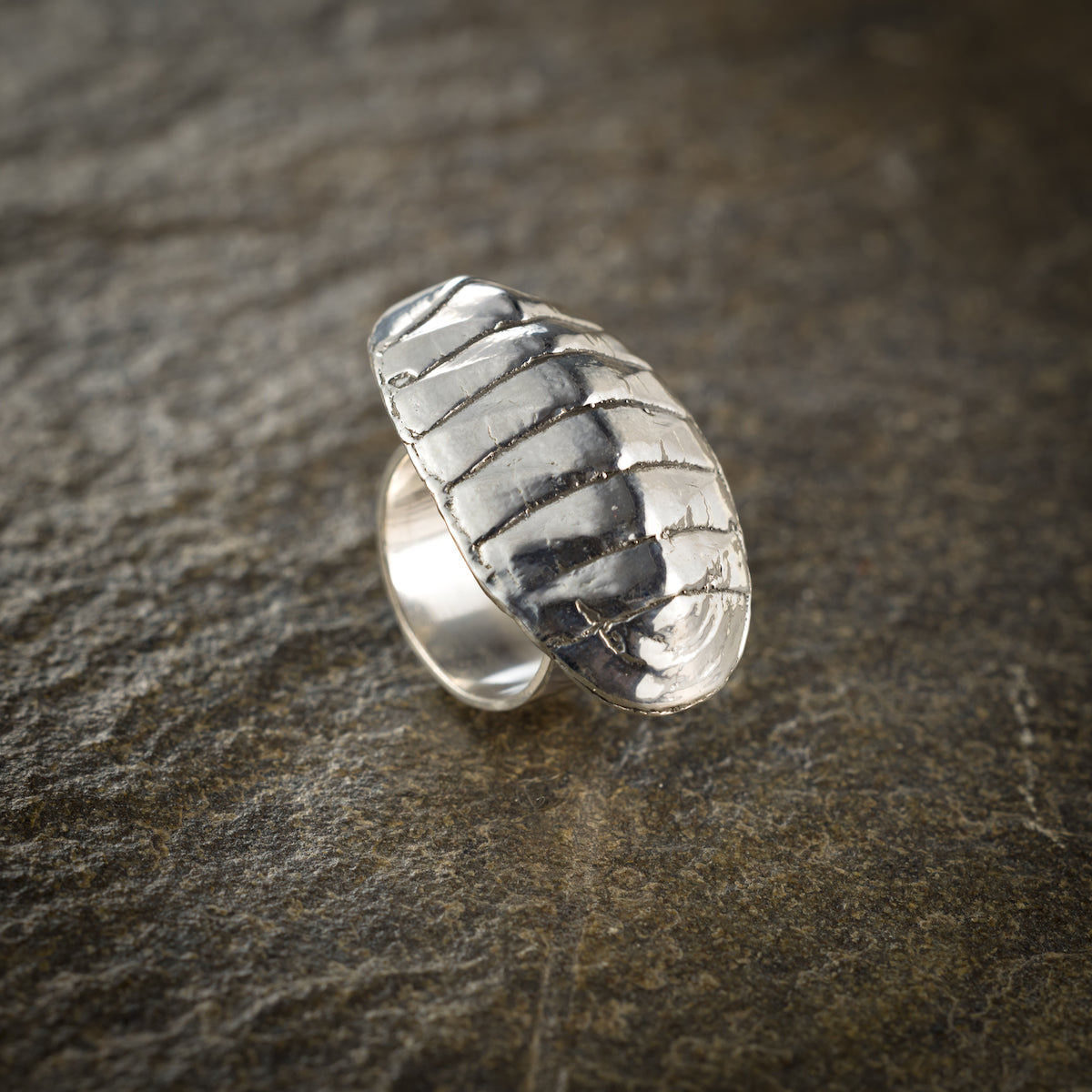 Anello Gus – La forza silenziosa della natura