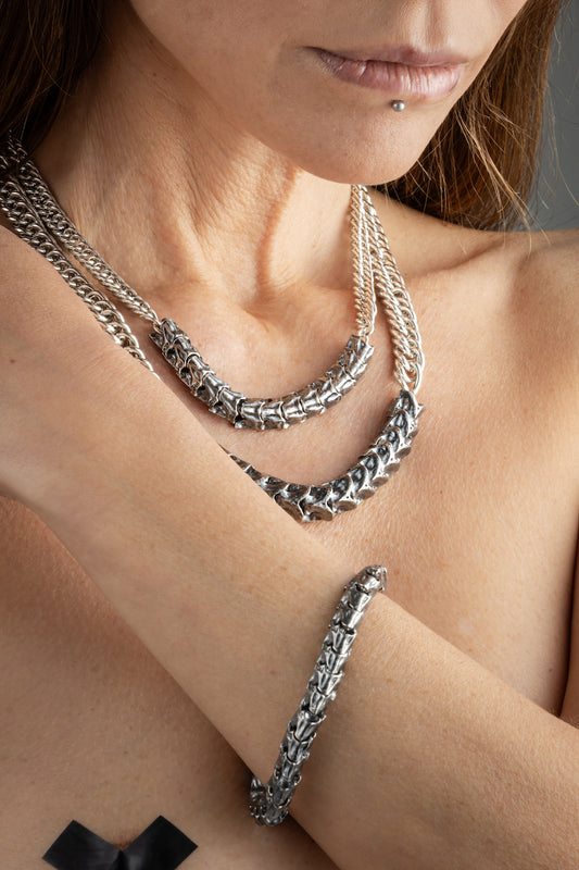 Tebra girocollo – La forza nascosta prende forma